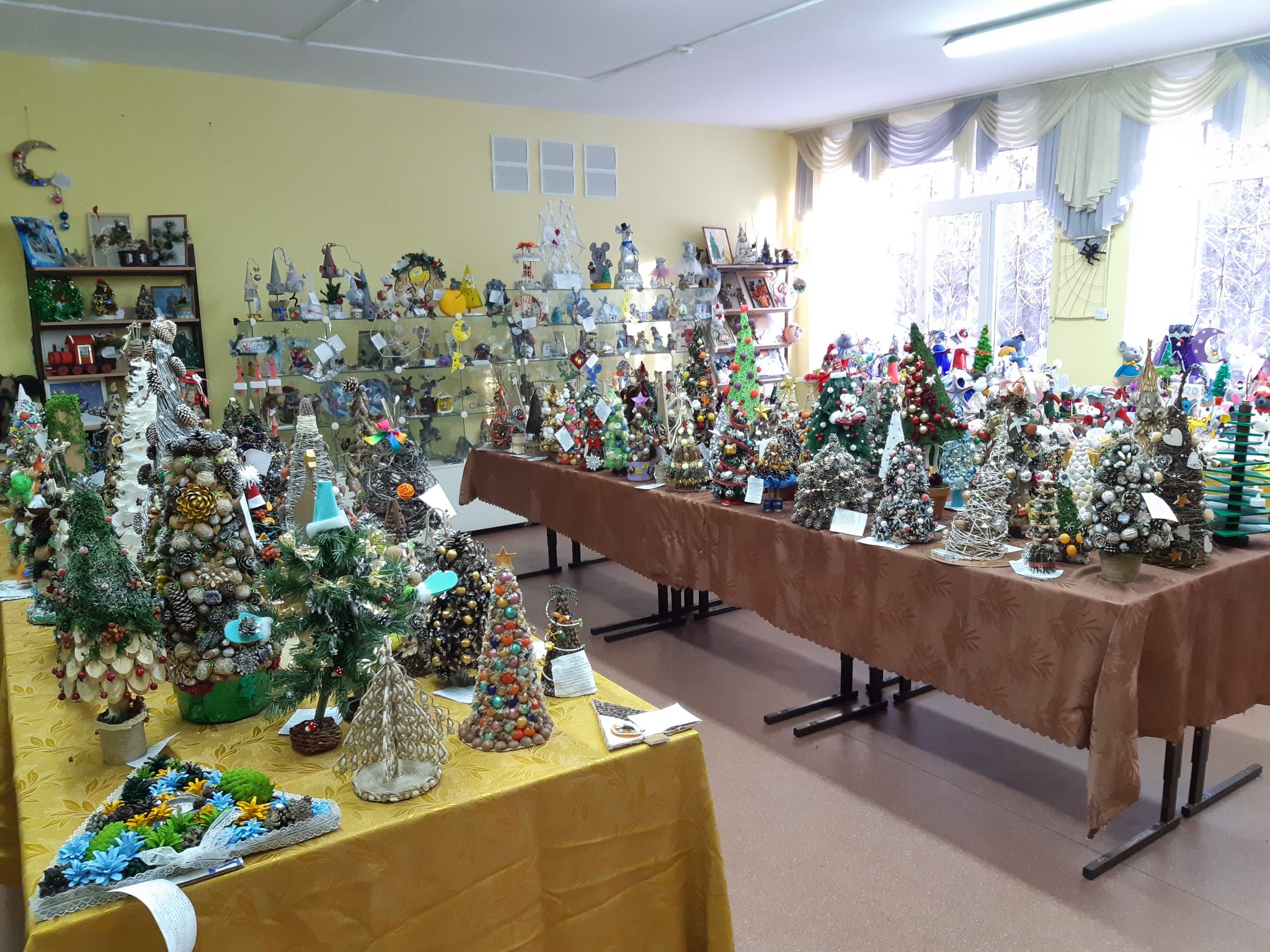 Эбц лидер эко уфа. Самарский областной детский эколого-биологический центр. Врубеля 19 эколого-биологический центр. Центр юннатов самара врубеля. Самарский областной биологический центр.